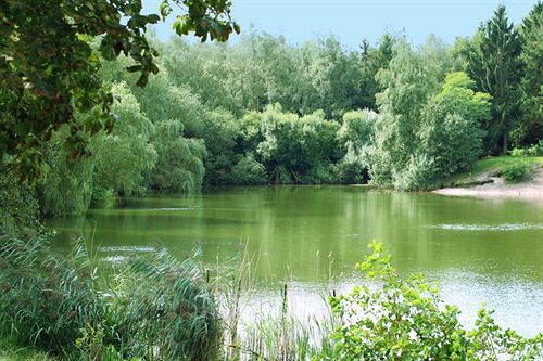 Hotel-Restaurant Seegarten Quickborn Квикборн Экстерьер фото